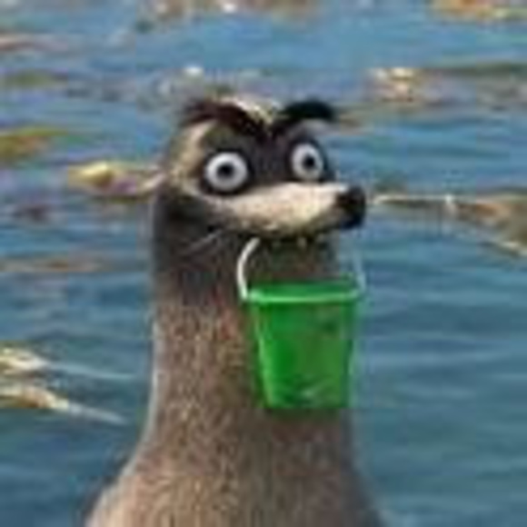 Meet your Posher, Sonia - Picture 1 of 1